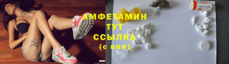 Amphetamine Premium Дрезна